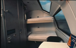 cn980008j.jpg